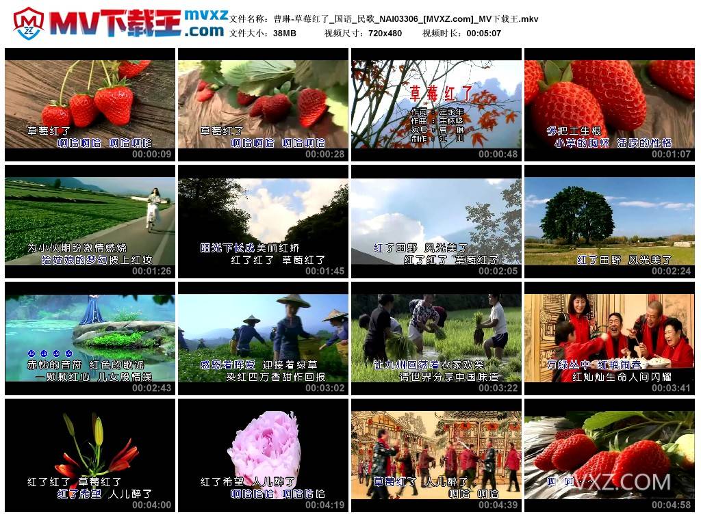 曹琳-草莓红了_国语_民歌_NAI03306